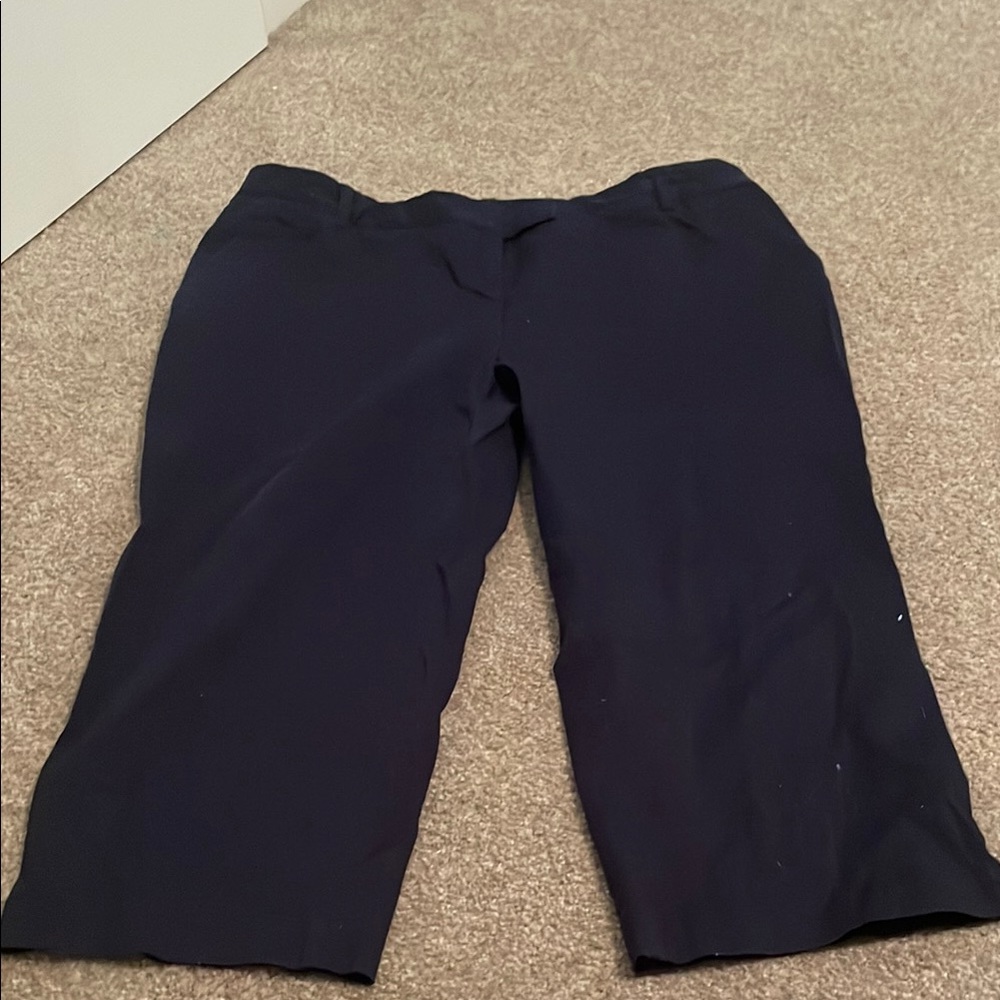 Charter Club Dark Blue Women's Pants